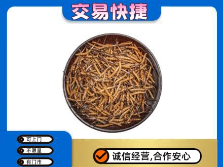 乐山犍为县礼品回收虫草.jpg